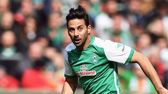  掘金vs鹈鹕比分预测 -爱游戏aiyouxi首页